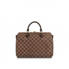 louis-vuitton-speedy-bandoulire-30-damier-ebene-handbags--N41367_PM1_Backview