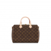 louis-vuitton-speedy-bandouliere-30-monogram-handbags--M41112_PM1_Backview