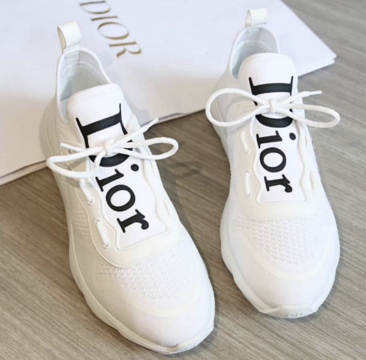 dior neo sneaker